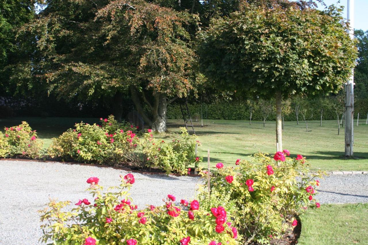 Bed and Breakfast Hoby Gard Borrby Exterior foto